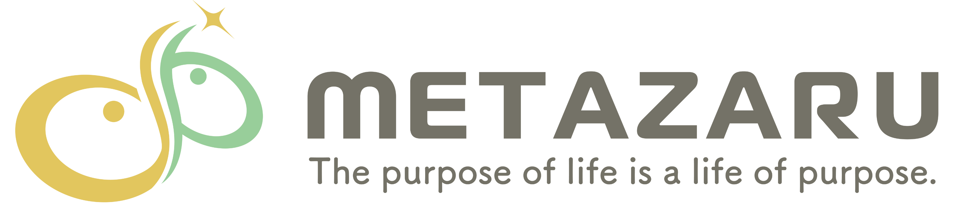 METAZARU合同会社｜採用ブランディング・SNSコンサルティング・SNS運用代行｜メタザル